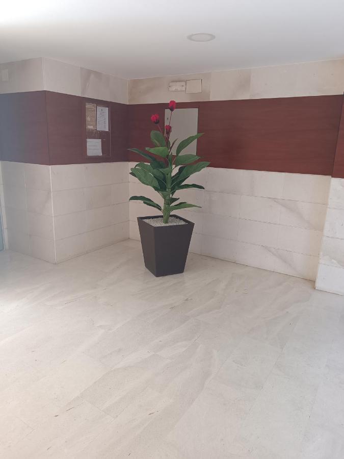 Apartment Fantastico Playa *